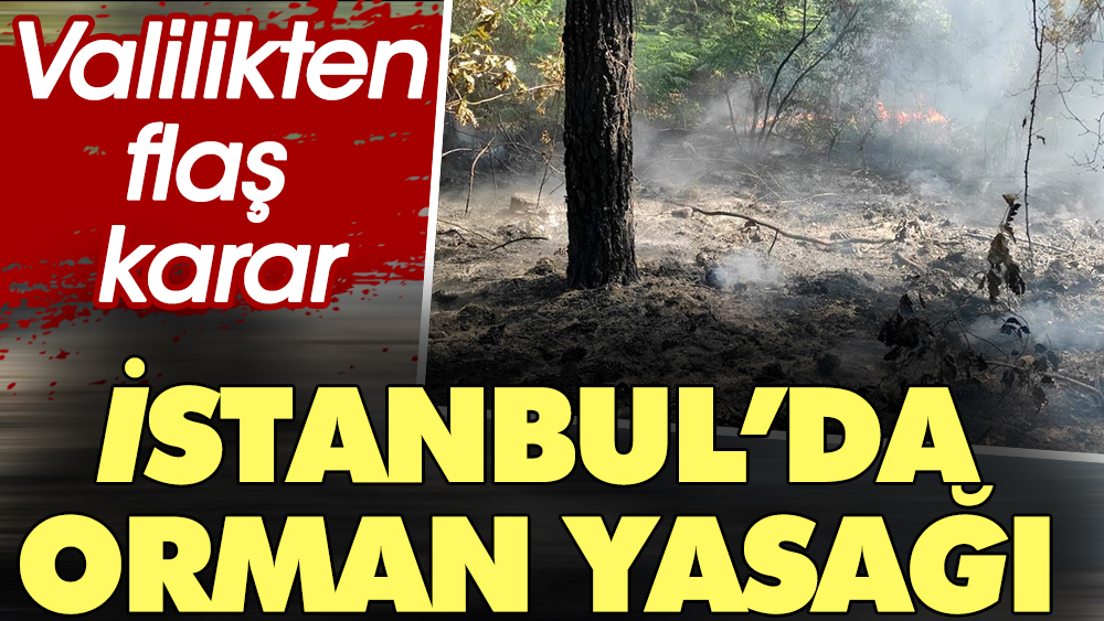 Valilikten sonra flaş karar: İstanbul'da orman yasağı