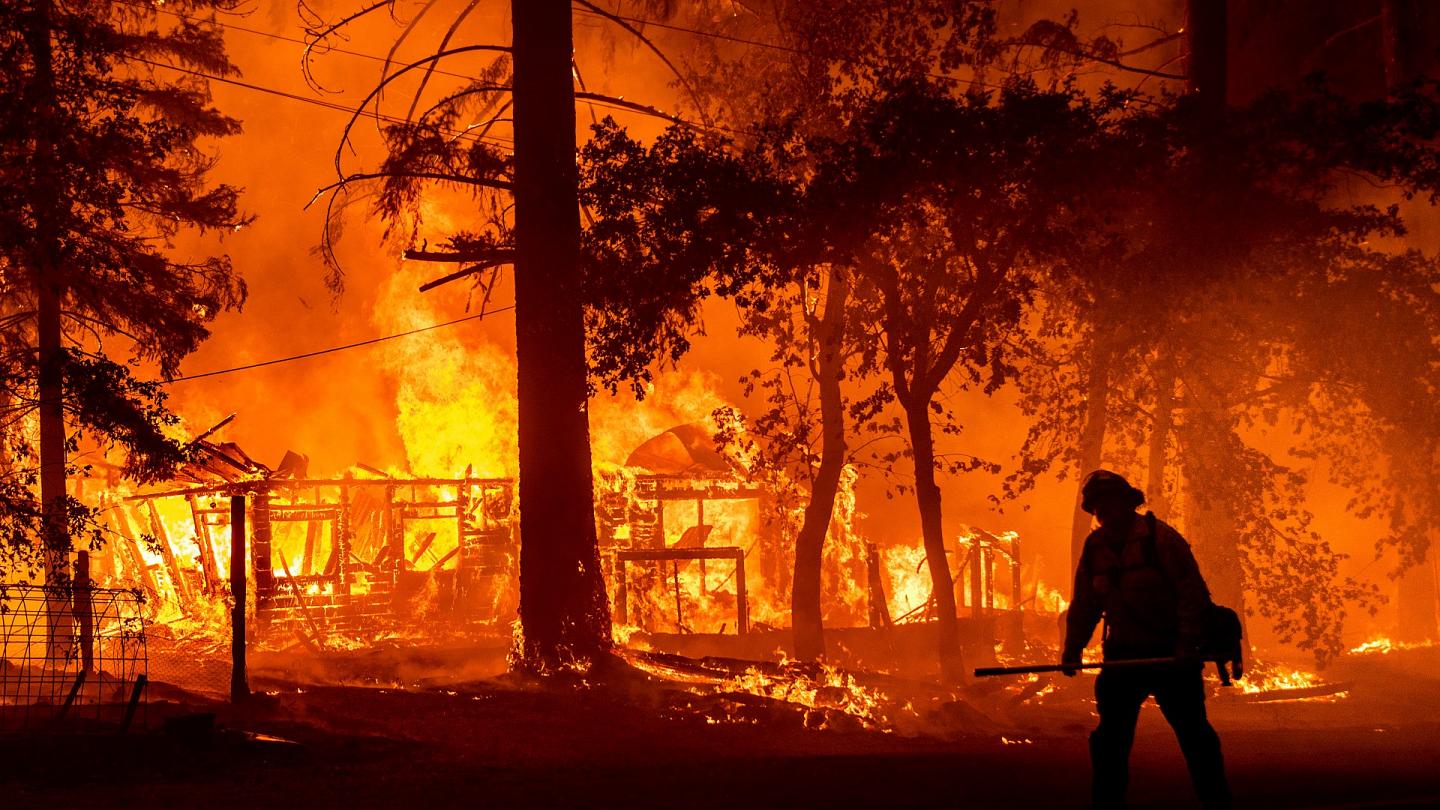 Orman yangınlarının önüne geçmek için yeni yasaklar getirildi