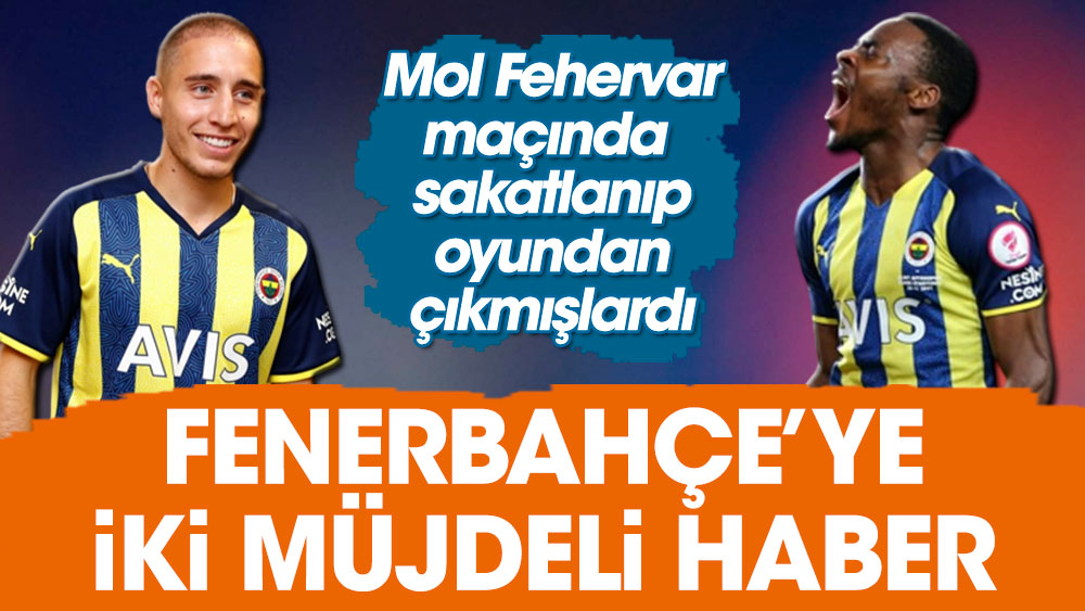 Fenerbahçe'ye 2 müjdeli haber