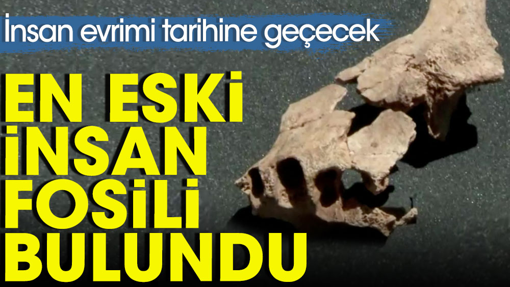 İnsan evrimi tarihine geçecek: En eski insan fosili bulundu