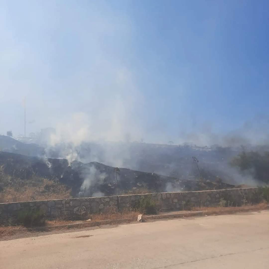 Bodrum’da makilik alanda yangın. 1 hektarlık alan küle döndü