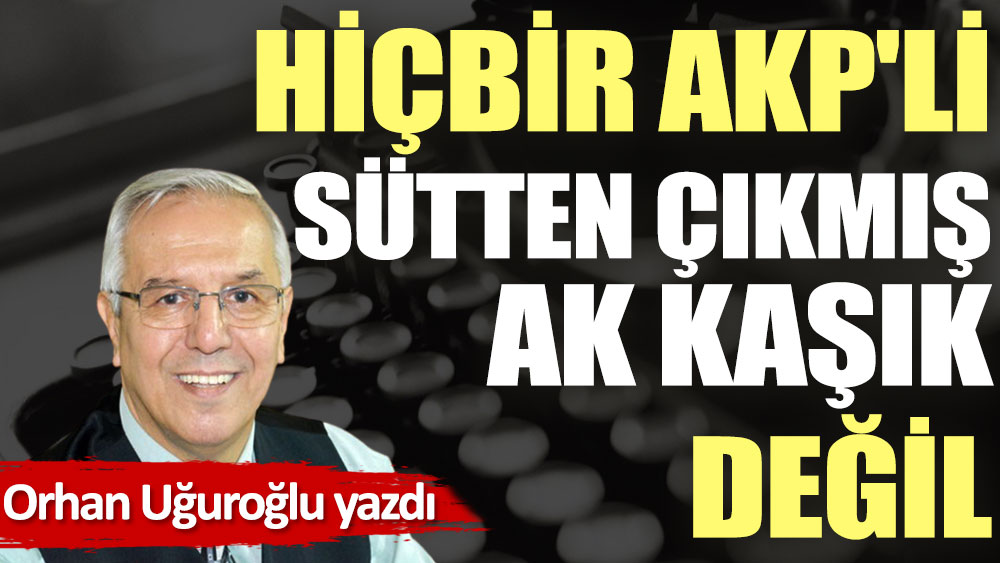 Hiçbir AKP'li sütten çıkmış AK kaşık değil