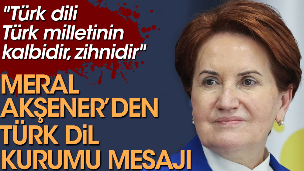 Meral Akşener’den Türk Dil Kurumu mesajı