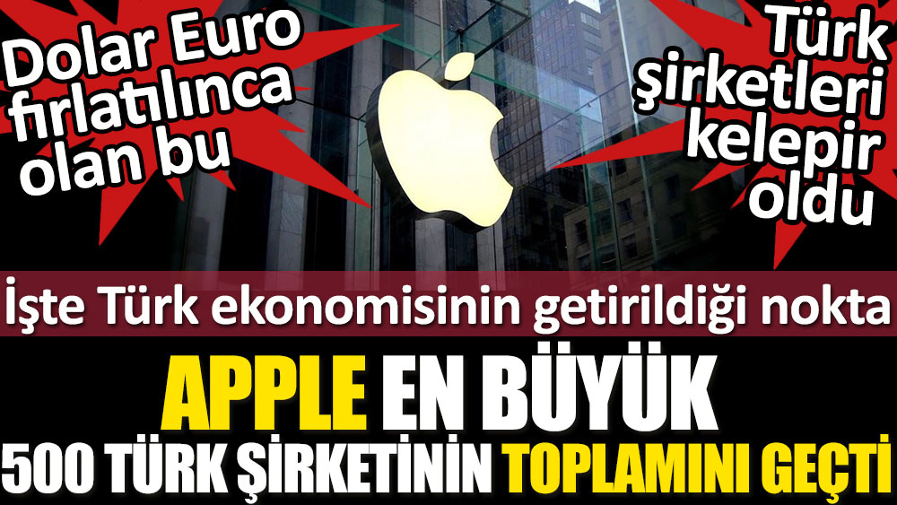 Dolar Euro aldı başını gitti. Türkiye'nin en büyük 500 şirketi Apple'ın gerisinde kaldı