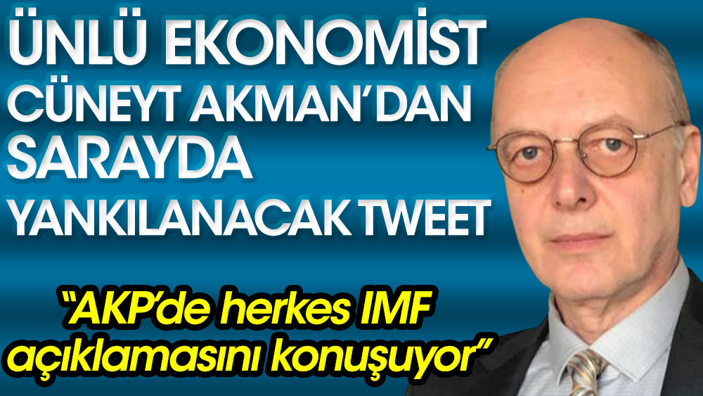 AKP'de herkes IMF açıklamasını konuşuyor. Ekonomist Cüneyt Akman’dan sarayda yankılanacak tweet