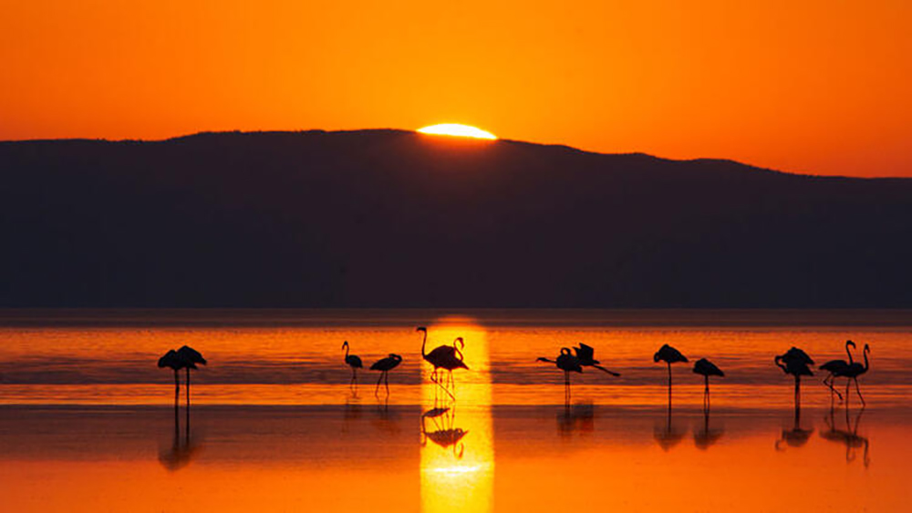 Flamingo cennetinde büyüleyen manzara