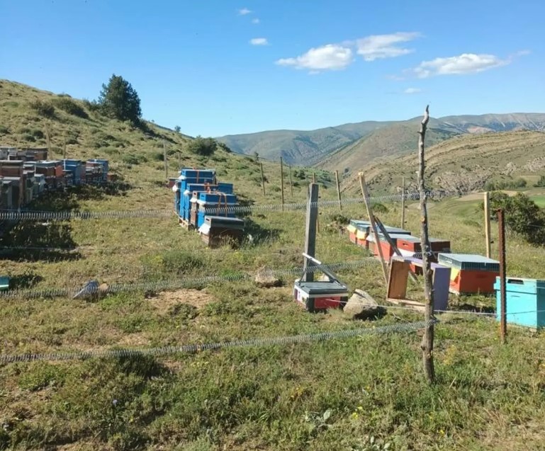 Gümüşhane'de çalınan arı kovanları JASAT ekiplerince bulundu