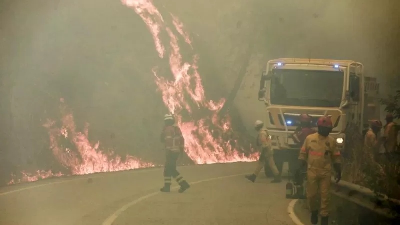 Portekiz'deki yüksek sıcaklıklar nedeniyle 1065 kişi hayatını kaybetti
