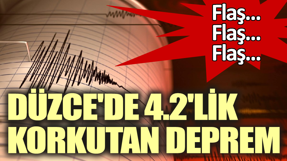 Son dakika. Düzce'de 4.2'lik korkutan deprem
