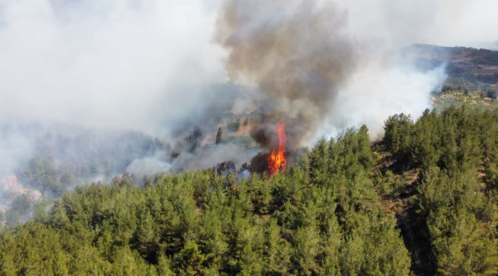 Manisa'da 185 hektar alanın zarar gördüğü yangına ilişkin yeni gelişme