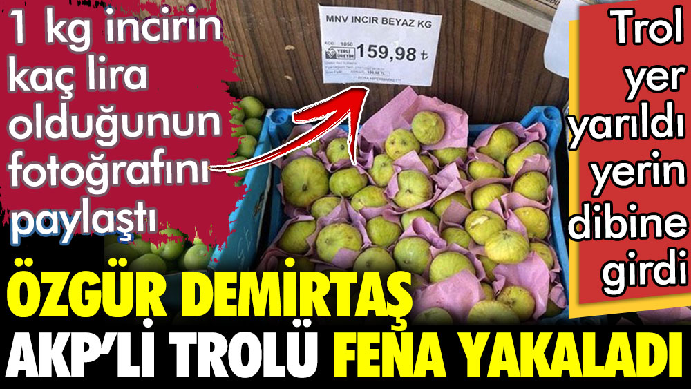 Özgür Demirtaş 1 kg incirin ne kadar olduğunun fotoğrafını paylaştı. AKP trolünü fena yakaladı