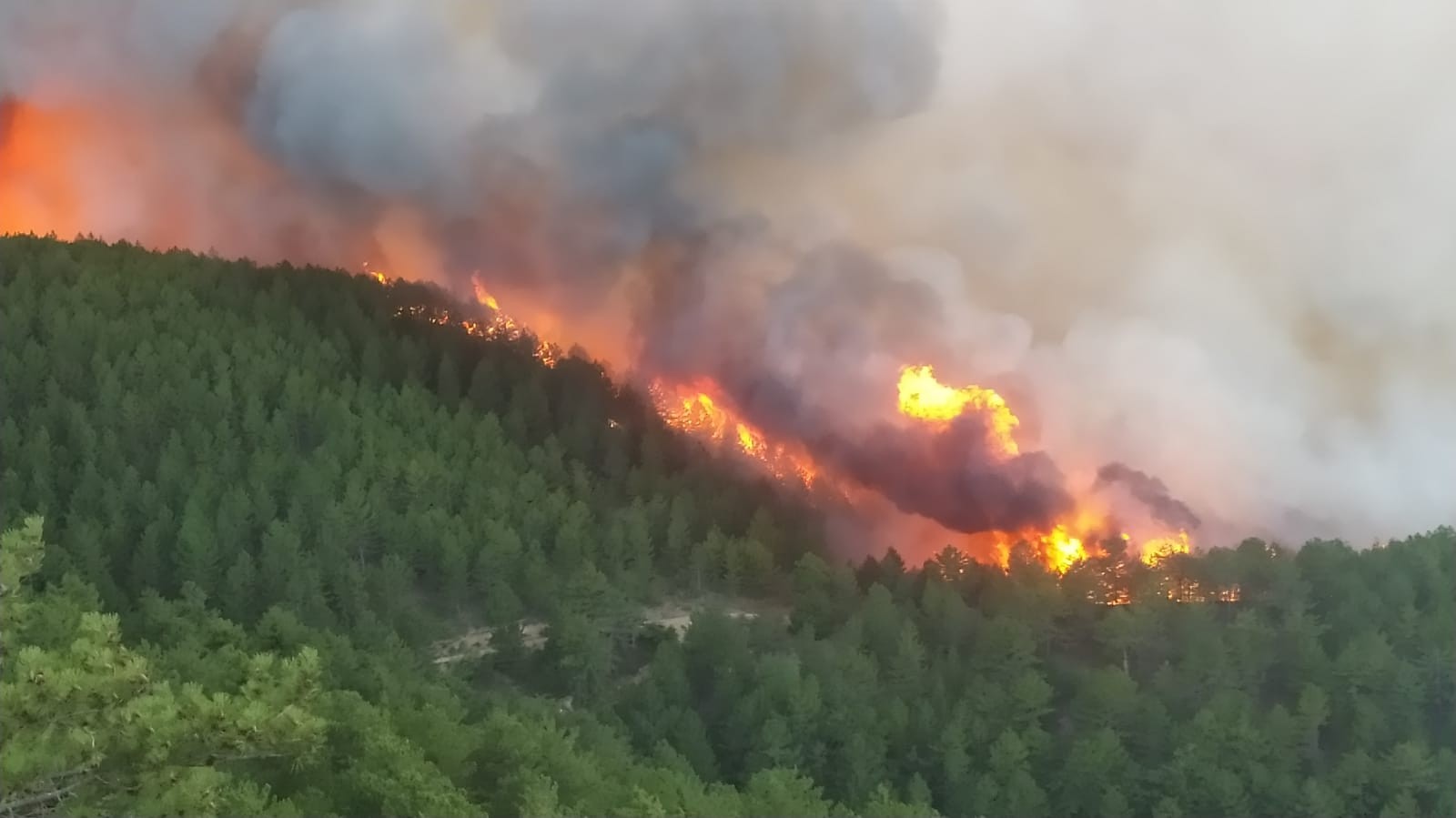 Kütahya'da orman yangını çıktı. Yangın kontrol altına alınmaya çalışılıyor