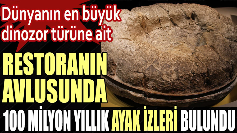 Restoranın avlusunda 100 milyon yıllık ayak izleri bulundu. Dünyanın en büyük dinozor türüne ait