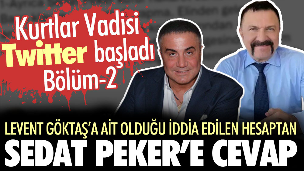 Levent Göktaş'a ait olduğu iddia edilen hesaptan Sedat Peker’e cevap. Kurtlar Vadisi Twitter yeniden başladı