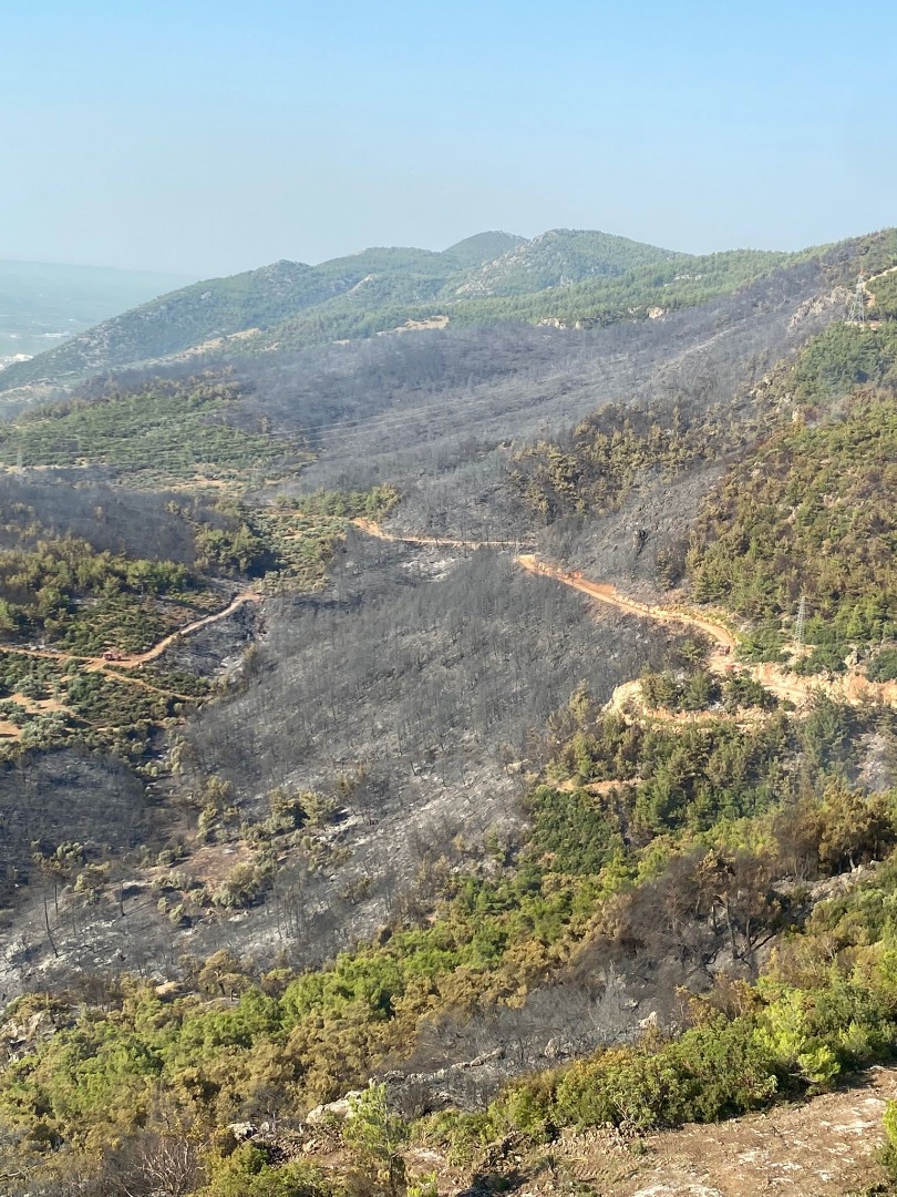 Söke'deki orman yangını 15 saat sonra kontrol altına alındı