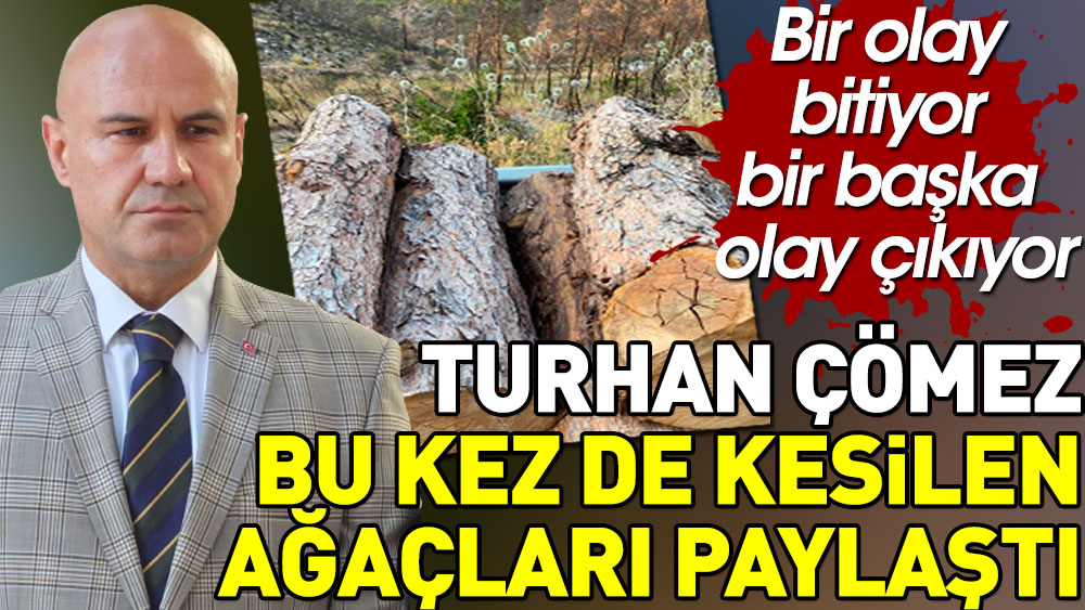 Turhan Çömez bu kez de kesilen ağaçları paylaştı. Bir olay bitiyor bir başka olay çıkıyor!
