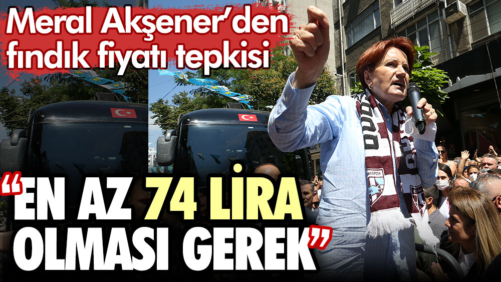 Meral Akşener'den iktidara fındık alım fiyatı tepkisi: Fındık fiyatının en az 74 lira olması gerek