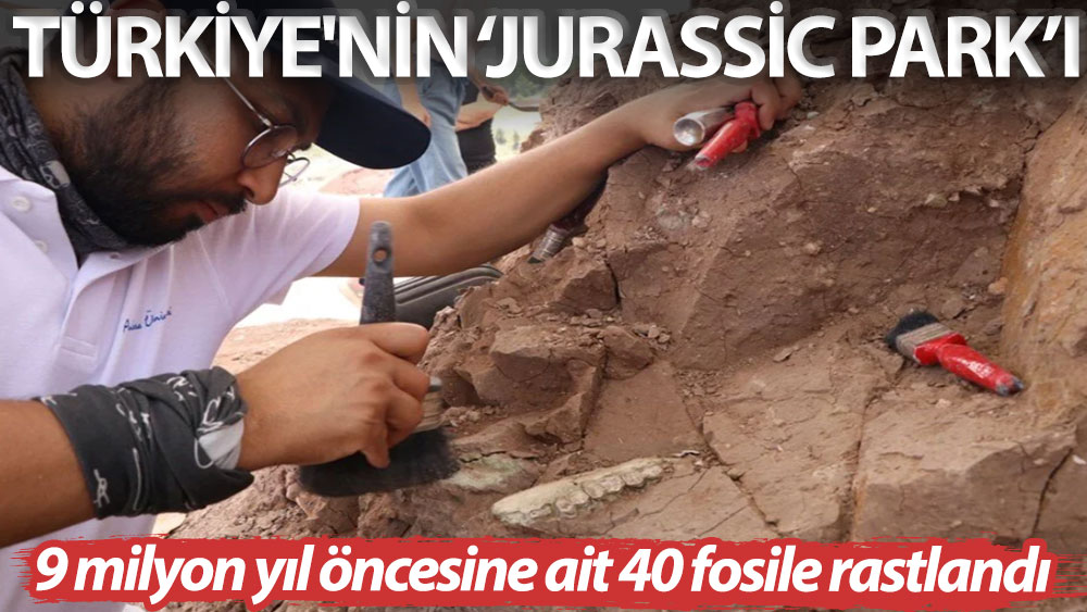 Türkiye'nin ‘Jurassic Park’ı: 9 milyon yıl öncesine ait 40 fosile rastlandı
