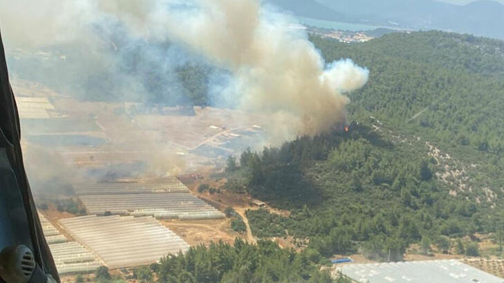 İzmir'de seraların bulunduğu bölgede çıkan yangın ormana sıçradı