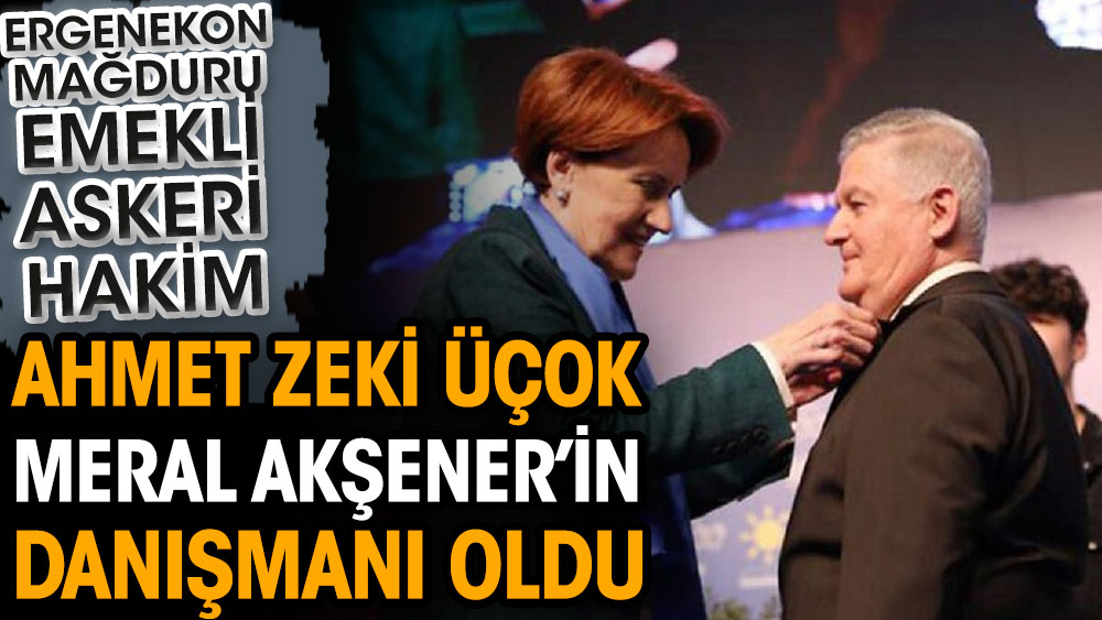 Ahmet Zeki Üçok, Meral Akşener’in danışmanı oldu