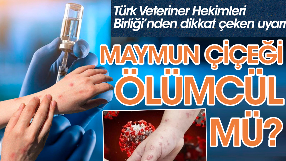 Maymun çiçeği ölümcül mü? Türk Veteriner Hekimleri Birliği’nden dikkat çeken uyarı