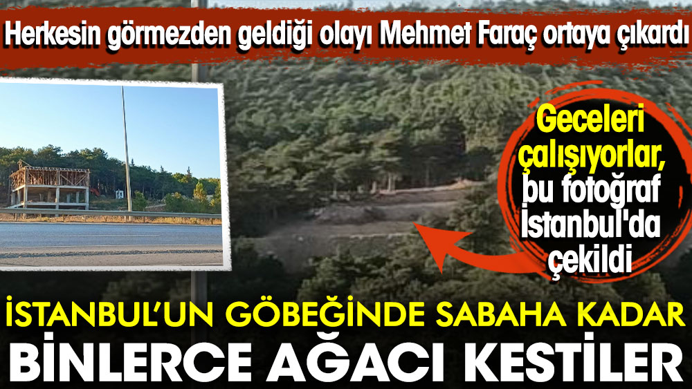 Herkesin görmezden geldiği olayı Mehmet Faraç ortaya çıkardı: İstanbul'un göbeğinde sabaha kadar binlerce ağacı kestiler
