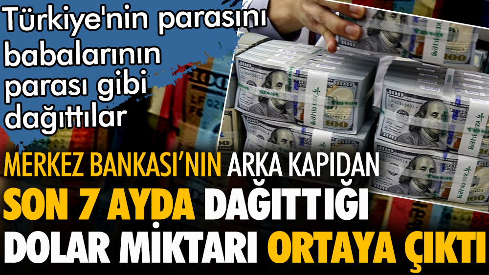 Merkez Bankası'nın son 7 ayda arka kapıdan dağıttığı dolar miktarı ortaya çıktı. Türkiye'nin parasını babalarının parası gibi dağıttılar