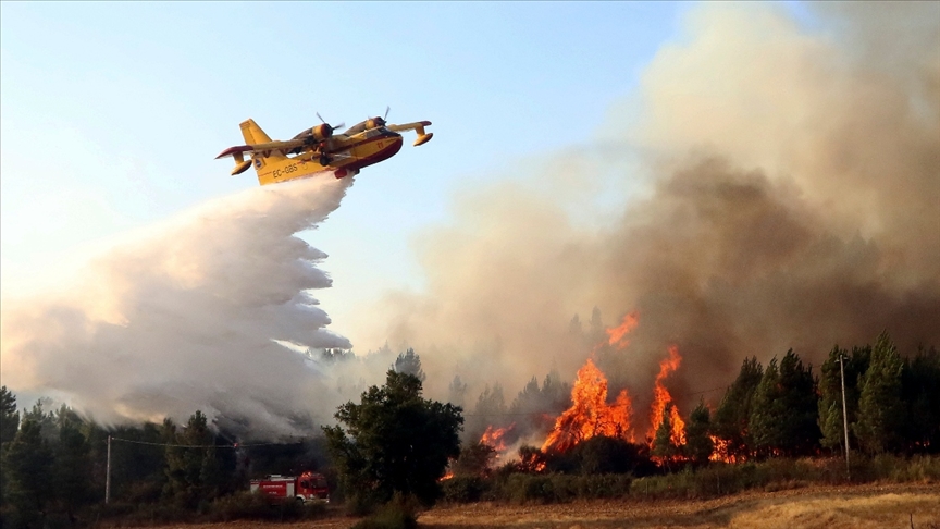 İtalya ve İspanya orman yangınlarıyla boğuşuyor