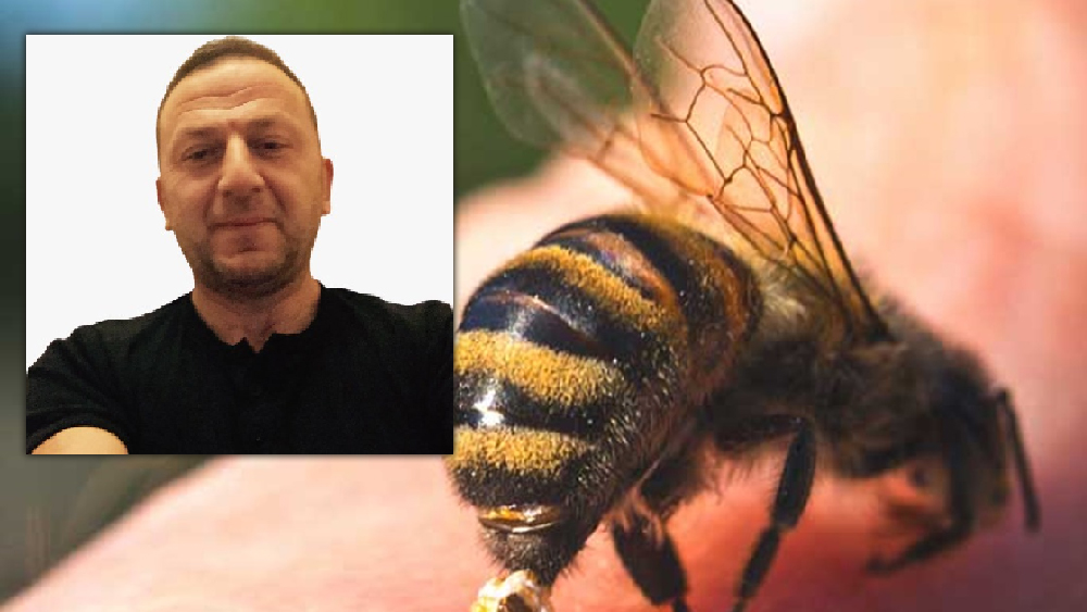 İngiltere'den memleketine tatile geldi, arıların sokması sonucu öldü