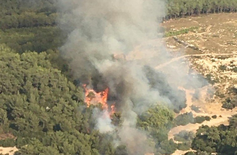 İzmir'de çıkan orman yangını kontrol altına alındı   