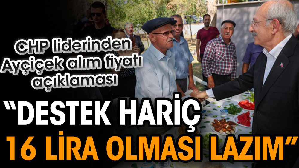 Kılıçdaroğlu’ndan Ayçiçek alım fiyatı açıklaması: Destek hariç kilosu 16 lira olması lazım