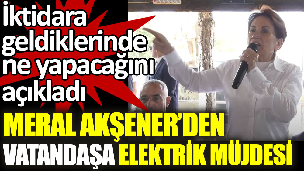 Meral Akşener'den vatandaşa elektrik müjdesi. Elektrik şirketleri millileşecek