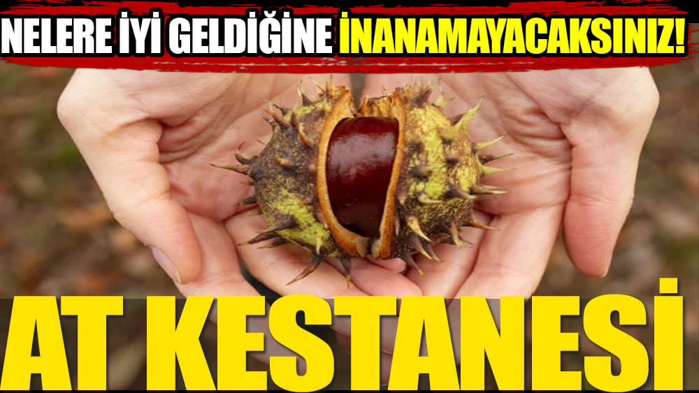 İşte at kestanesinin faydaları