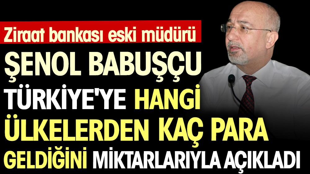 Ziraat bankası eski müdürü Şenol Babuşçu Türkiye'ye hangi ülkelerden kaç para geldiğini miktarlarıyla açıkladı