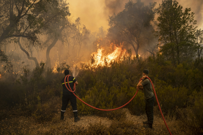 Fas'ta orman yangınını söndürme çalışmaları sırasında 3 itfaiyeci öldü