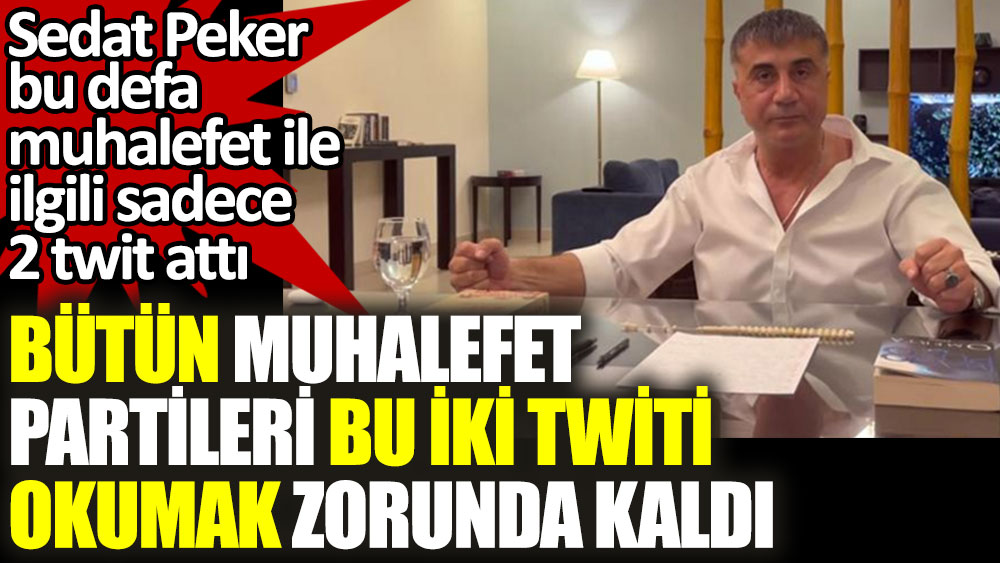 Sedat Peker bu defa muhalefet partileriyle ilgili 2 twit attı. Bütün muhalefet bu iki twiti okumak zorunda kaldı