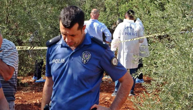 Antalya'da zeytinlikte erkek cesedi bulundu