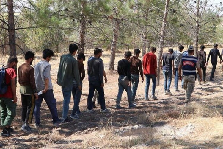 Şanlıurfa’da 28 kaçak göçmen yakalandı