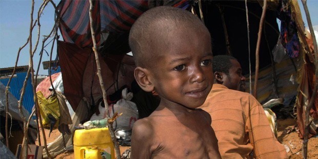 Nijerya'nın Katsina eyaletinde 1,2 milyon çocuk yetersiz beslenme nedeniyle bodur kaldı