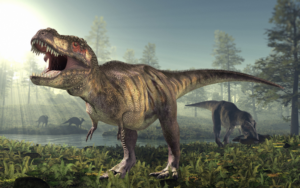 113 yıllık dinozor türünün ayak izi bulundu