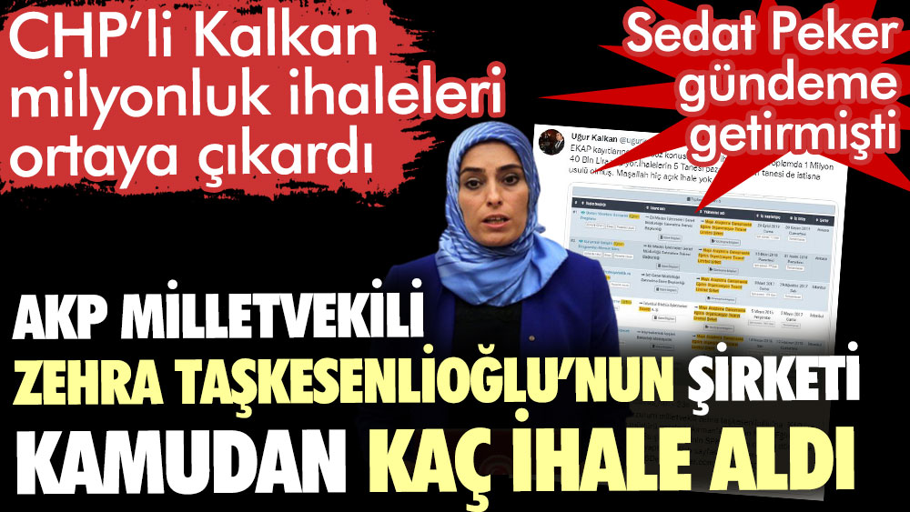 AKP Milletvekili Zehra Taşkesenlioğlu’nun şirketi kamudan kaç ihale aldı. Sedat Peker gündeme getirmişti