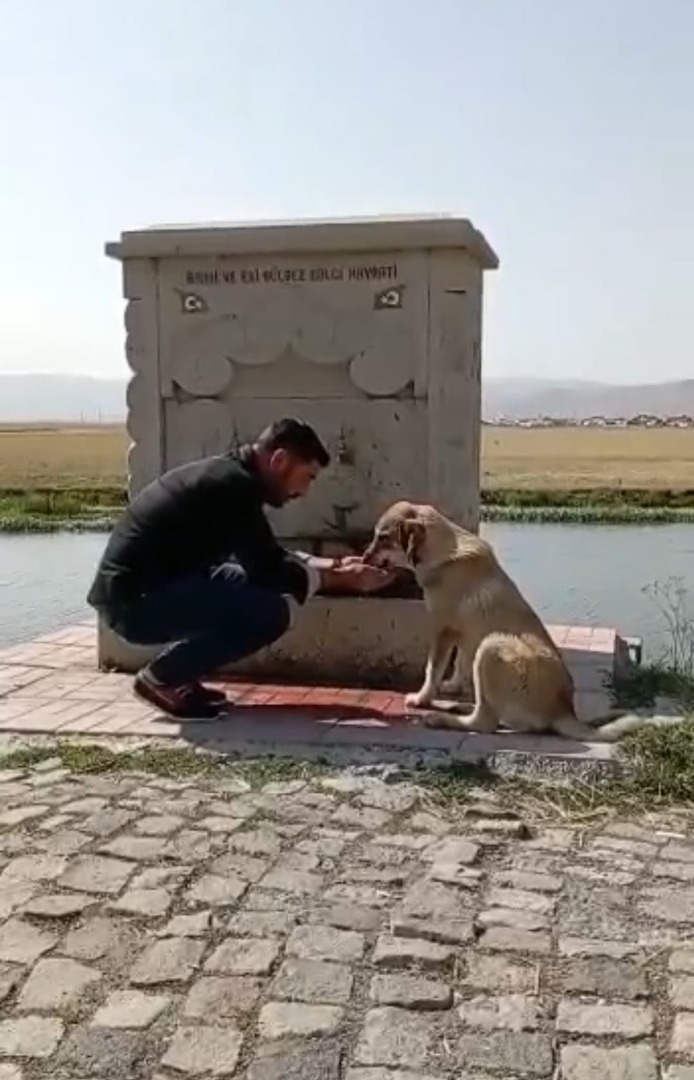 Sıcaktan bunalan köpeğe elleriyle su verdi