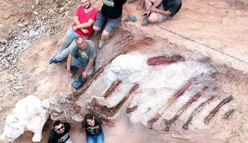 25 metrelik dev dinozor fosili inşaat sırasında bulundu