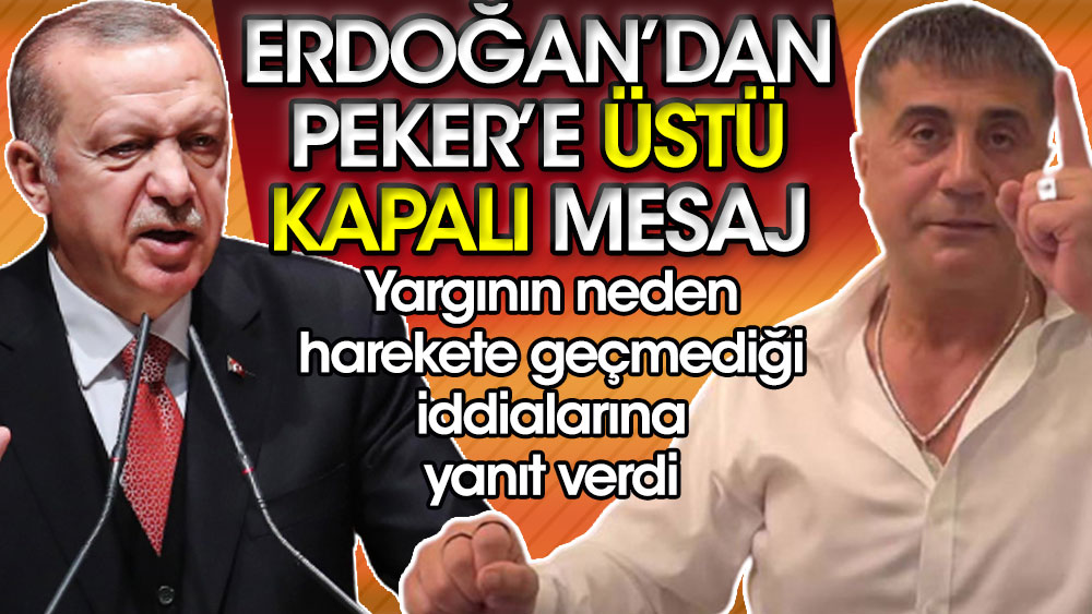 Erdoğan Sedat Peker’e üstü kapalı mesaj verdi