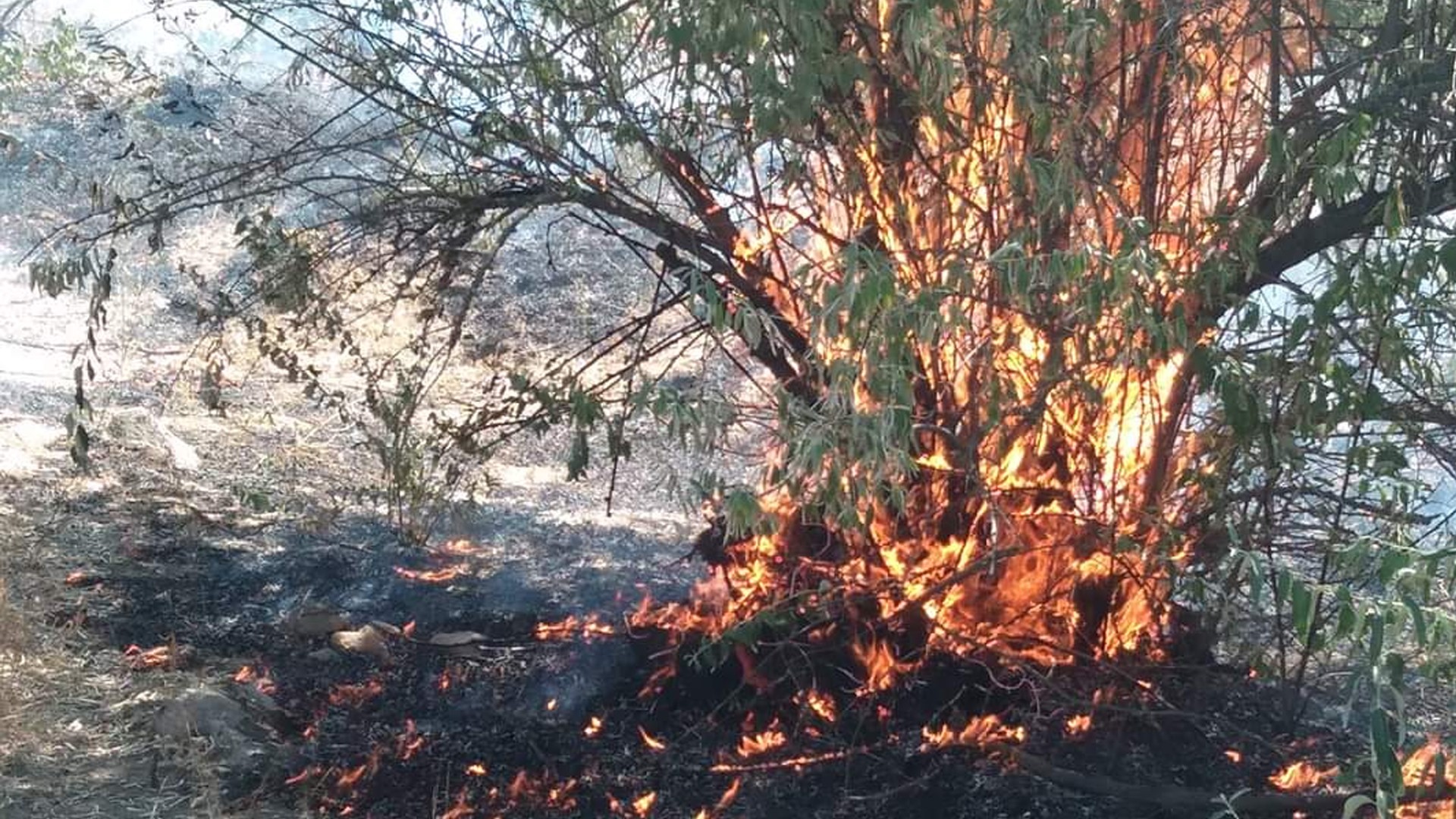 Kırıkkale'de tarım arazisinde anız yangını çıktı