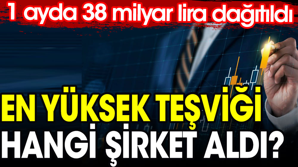 En yüksek teşviği hangi şirket aldı? 1 ayda 38 milyar lira dağıtıldı