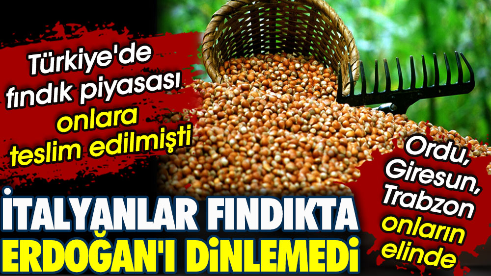 İtalyanlar fındıkta Erdoğan'ı dinlemedi. Türkiye'de fındık piyasası onlara teslim edilmişti