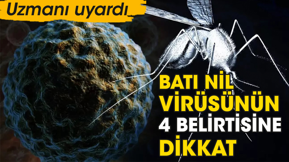 Batı Nil Virüsünün 4 belirtisine dikkat. Uzmanı uyardı