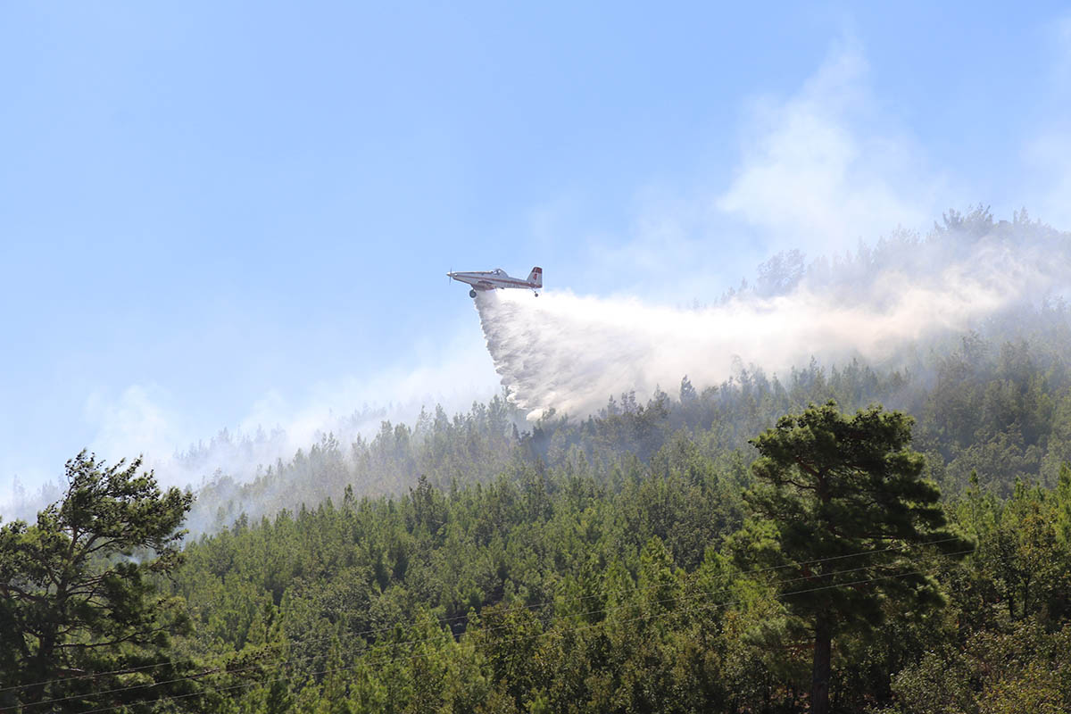 Alanya'daki orman yangını kontrol altında
