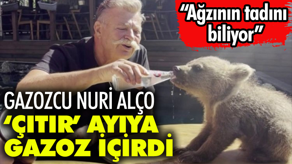 Gazozcu Nuri Alço 'çıtır' ayıya gazoz içirdi. Ağzının tadını biliyor dedi